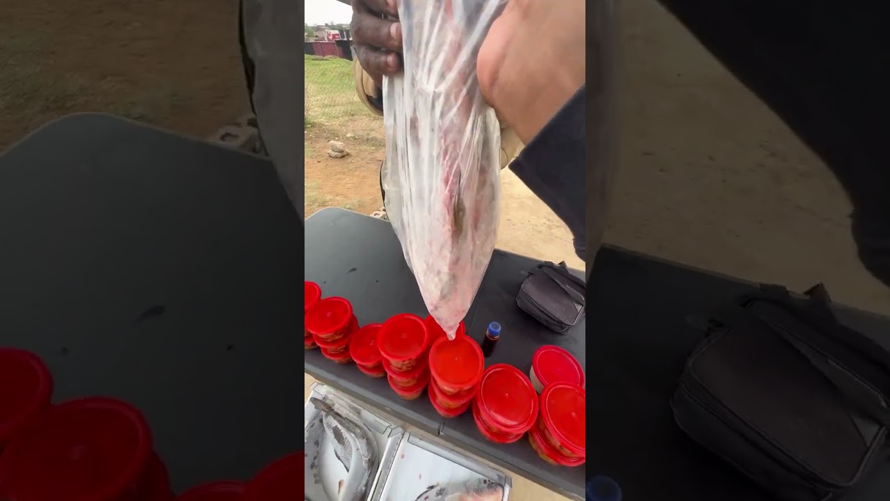 Vlog with Goodwill 😂Mpumalanga Spring PARTY 🎉| Mhluzi Mall 🏬| HairArt by Pro 👩‍🦰 | Fish 🐟|