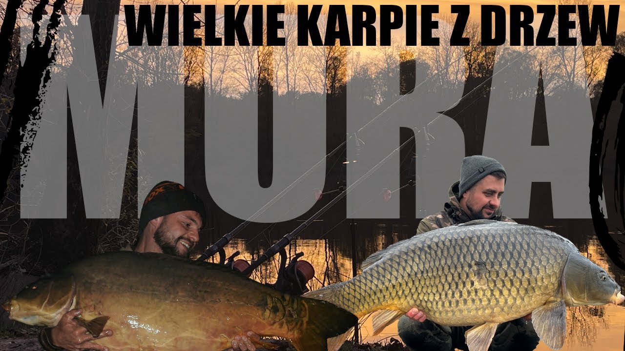 WĘGRY - NASZA KARPIOWA PRZYGODA +30kg?