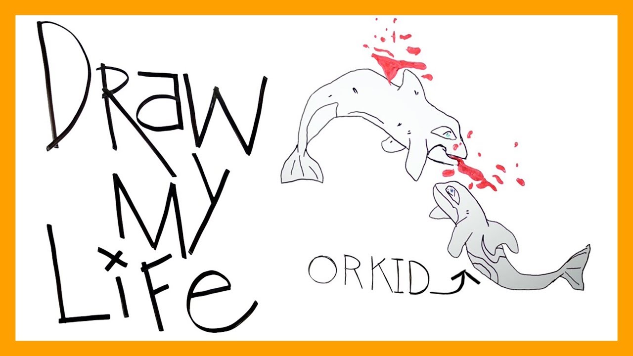 Draw My Life: Orkid at SeaWorld