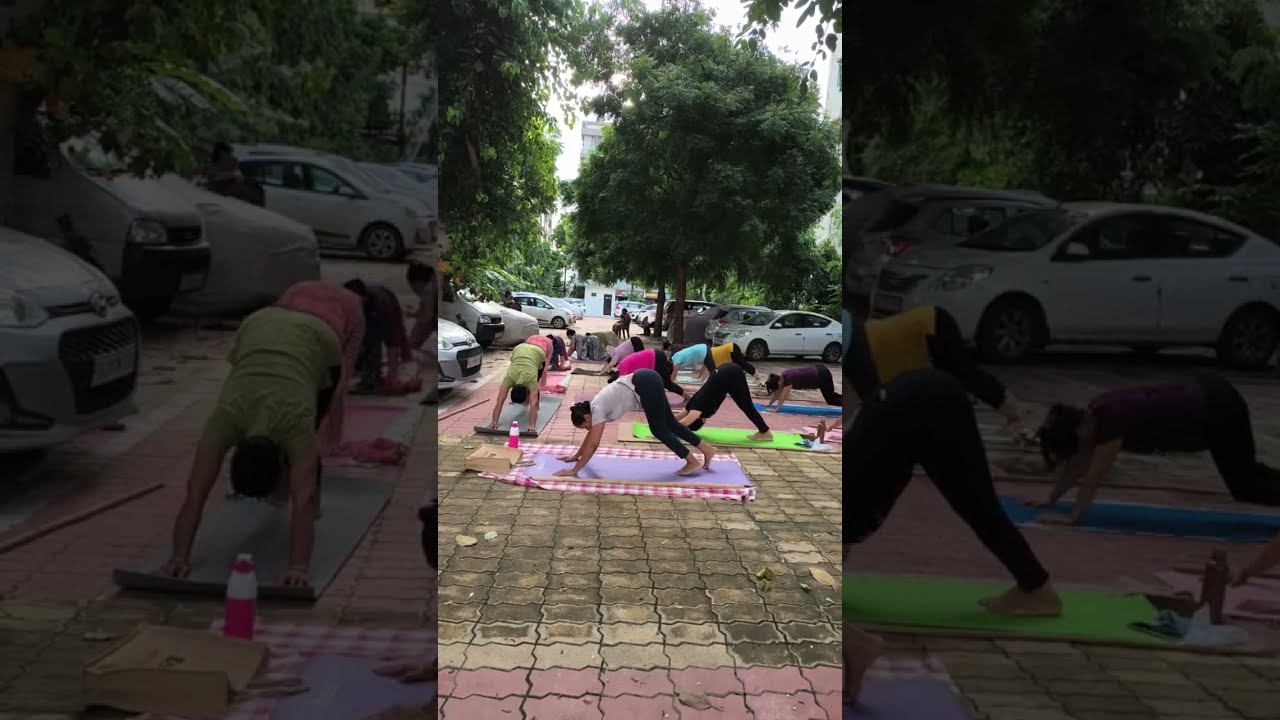 live 🔴 evening yoga classes at home। Weight lose exercise।