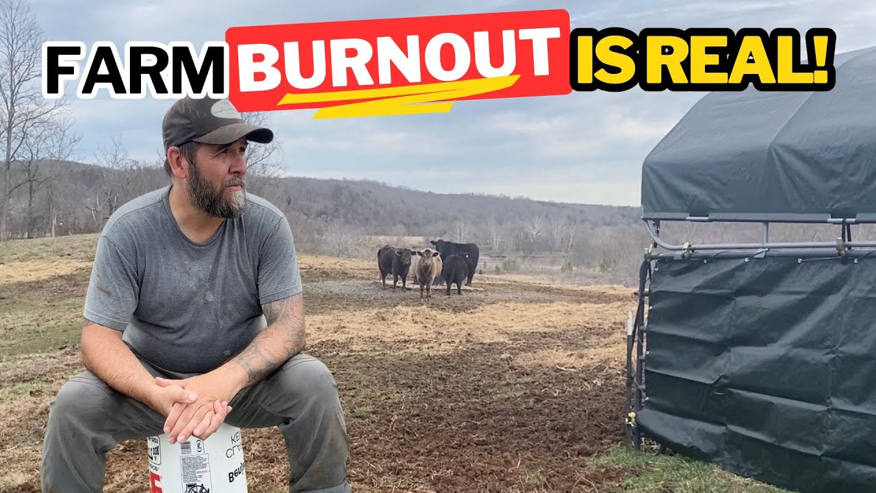 Выгорание на ферме: как масштабирование чуть не разрушило то, что мы любили.