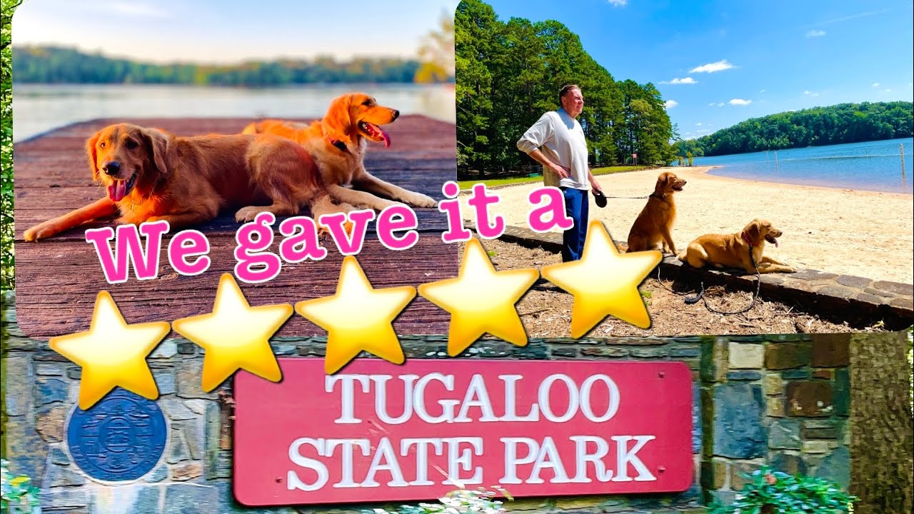 Epic Camping Adventure at Tugaloo State Park | Discover The Best Camp Site