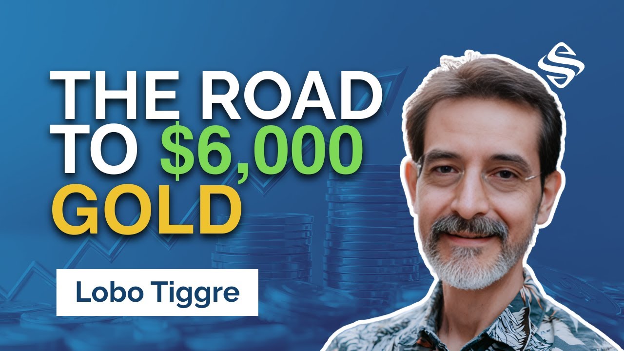 Падение цен на золото и серебро: самая выгодная возможность для покупки? | Lobo Tiggre