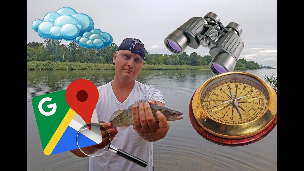 Ловля хищника близ устья реки Гауя