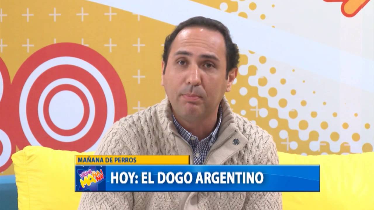 El dogo argentino