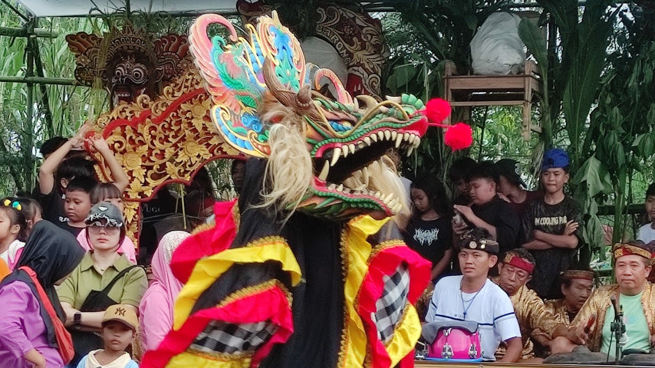 Barong Devils Jaranan SINGOROJO PURWOSAKTI meras live pengantigan Rogojampi 