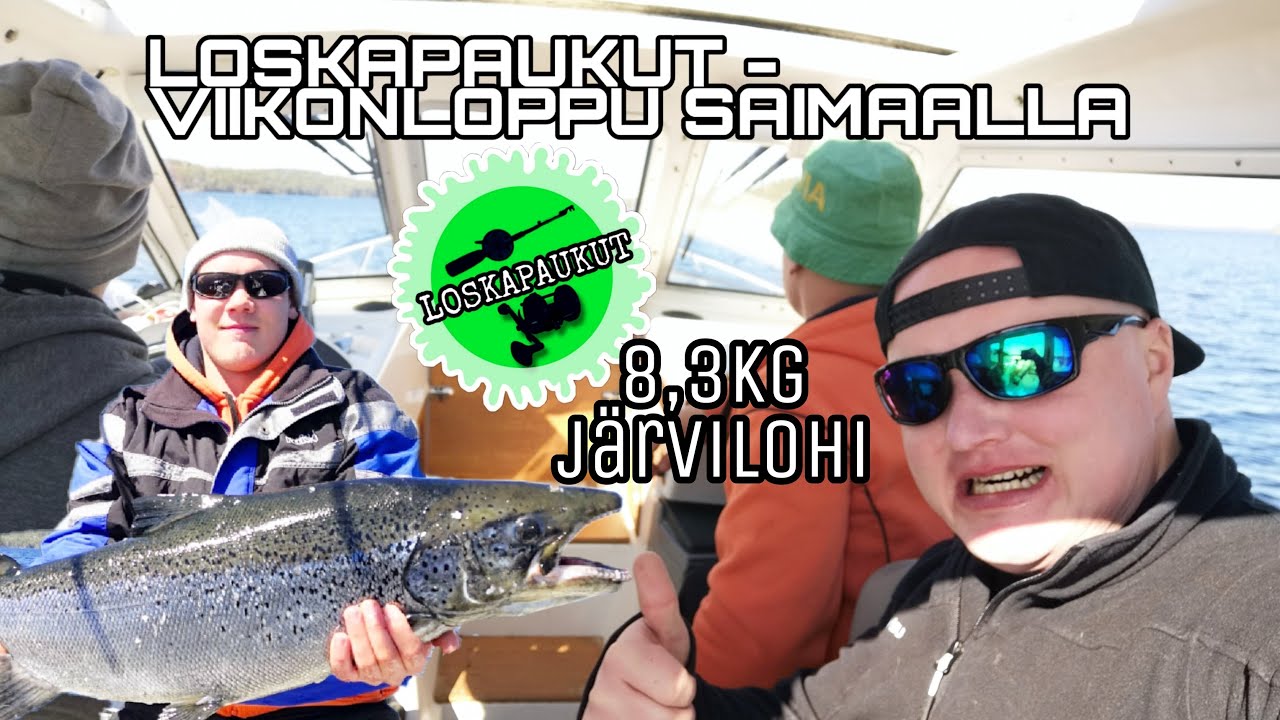 Loskapaukut - Viikonloppu Saimaalla