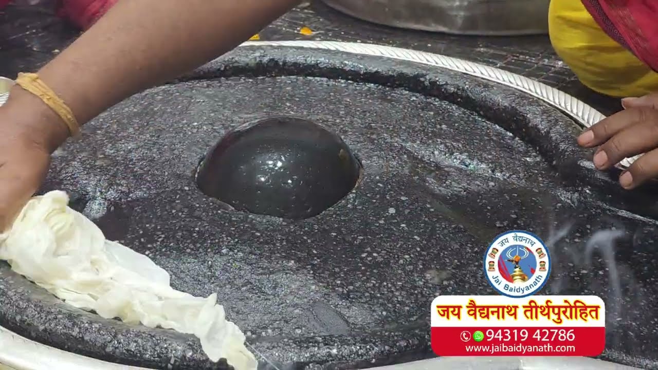वैद्यनाथ ज्योतिर्लिंग दर्शन 14/01/2026 बुधवार संक्रन्ति एकादशी 🚩
