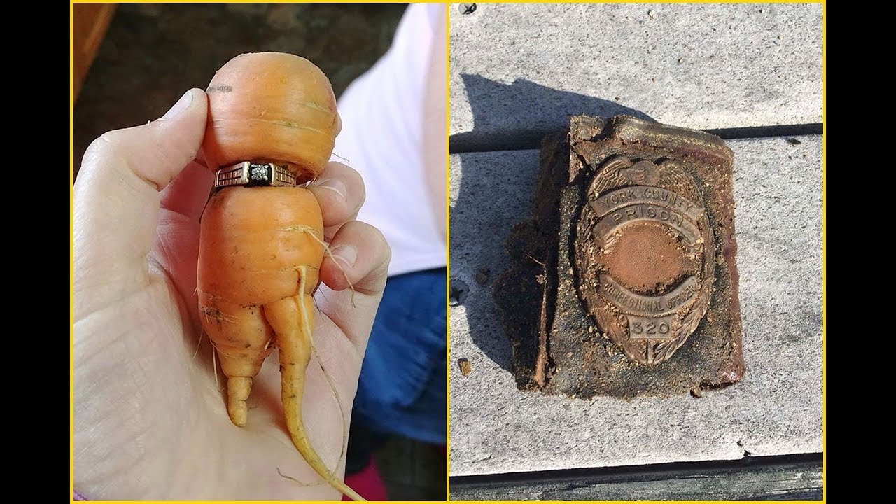 10+ Unbelievable Stories Of People Finding  Things They Thought They Lost Forever