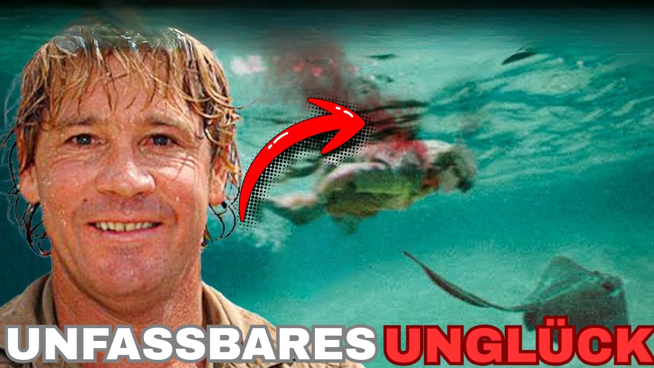 Steve Irwin SCHRECKLICHE LETZTE MINUTEN
