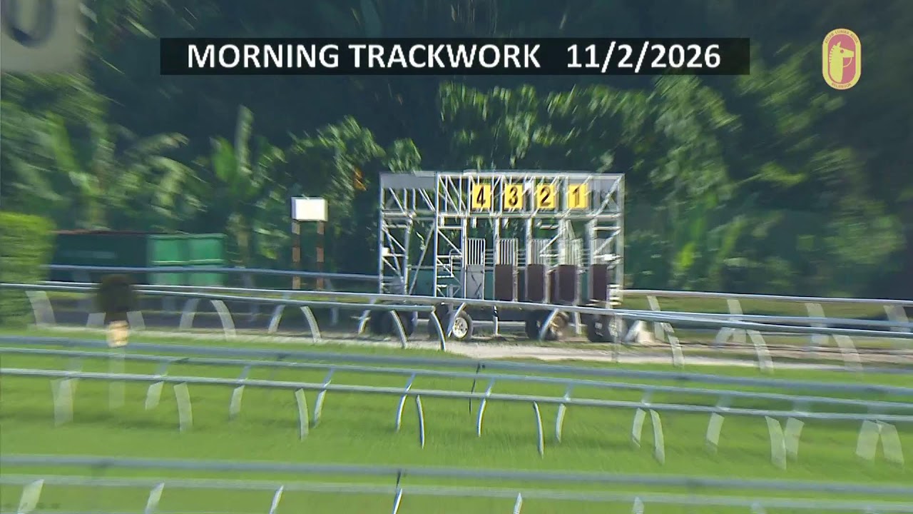 Track Work - Cam 1 (11/02/2026)