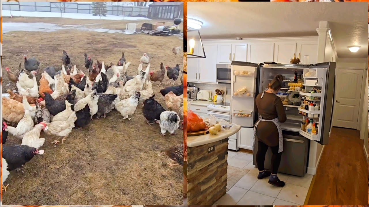 НАШИ ГОСТИ ПО НЕМНОГО ПРИВЫКАЮТ.