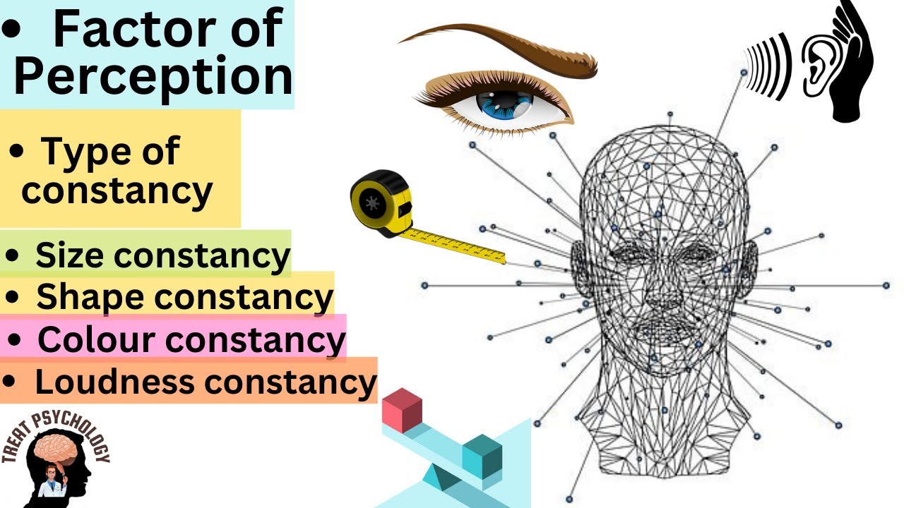 Factors of perception /types of perceptual constancy urdu | hindi