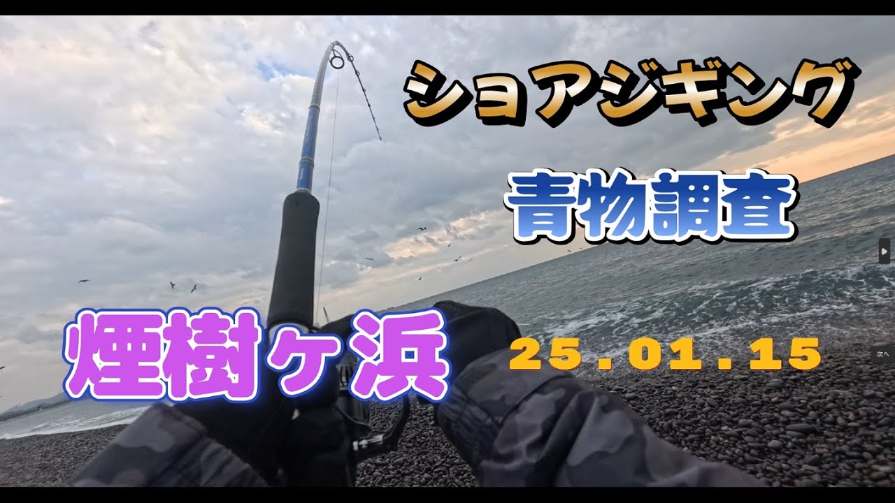 （ショアジギング・弓角）#38　鳥山が教えてくれた奇跡の一匹！！メジロ😄