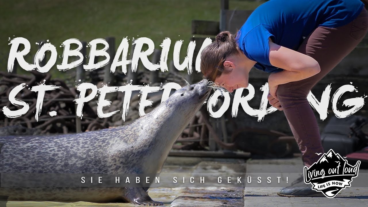 Sankt Peter-Ording, VLOG #068, Westküstenpark & Robbarium Sankt Peter-Ording (Reisetipp 2018)