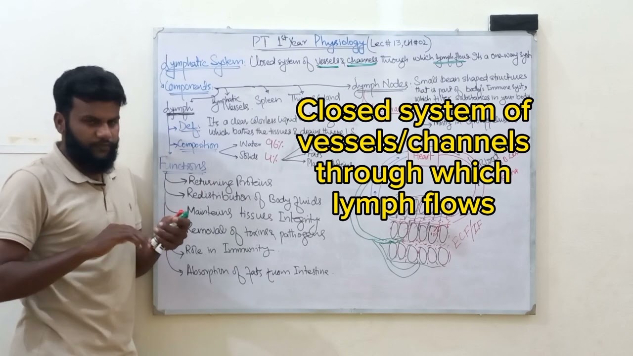 Lymphatic System, Lymph & Lymph Nodes Composition&Functions Lec13 || PTLectureSeries-TheDrugEducator