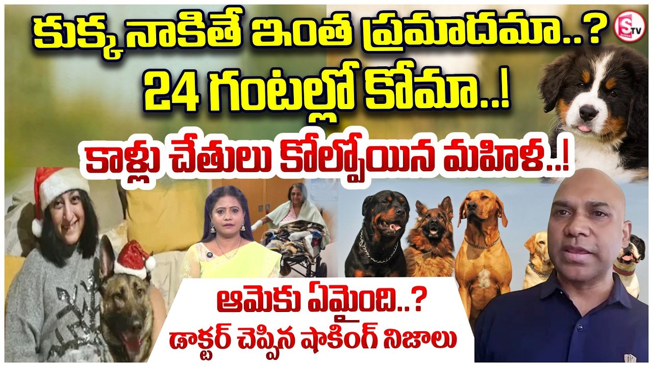 ప్రేమగా నాకిన కుక్క కానీ | Pet Dog Infection Risk Explained by Doctor Anil Murari | SumanTV Swaroopa