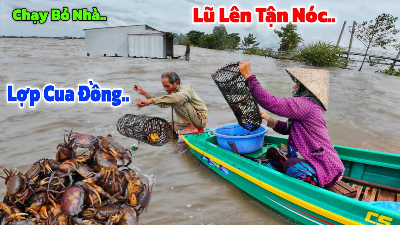 LŨ lên tận Nóc