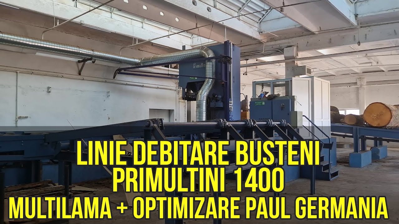Linie debitare bușteni Primultini, multilamă tivit și optimizare cherestea Paul Germania