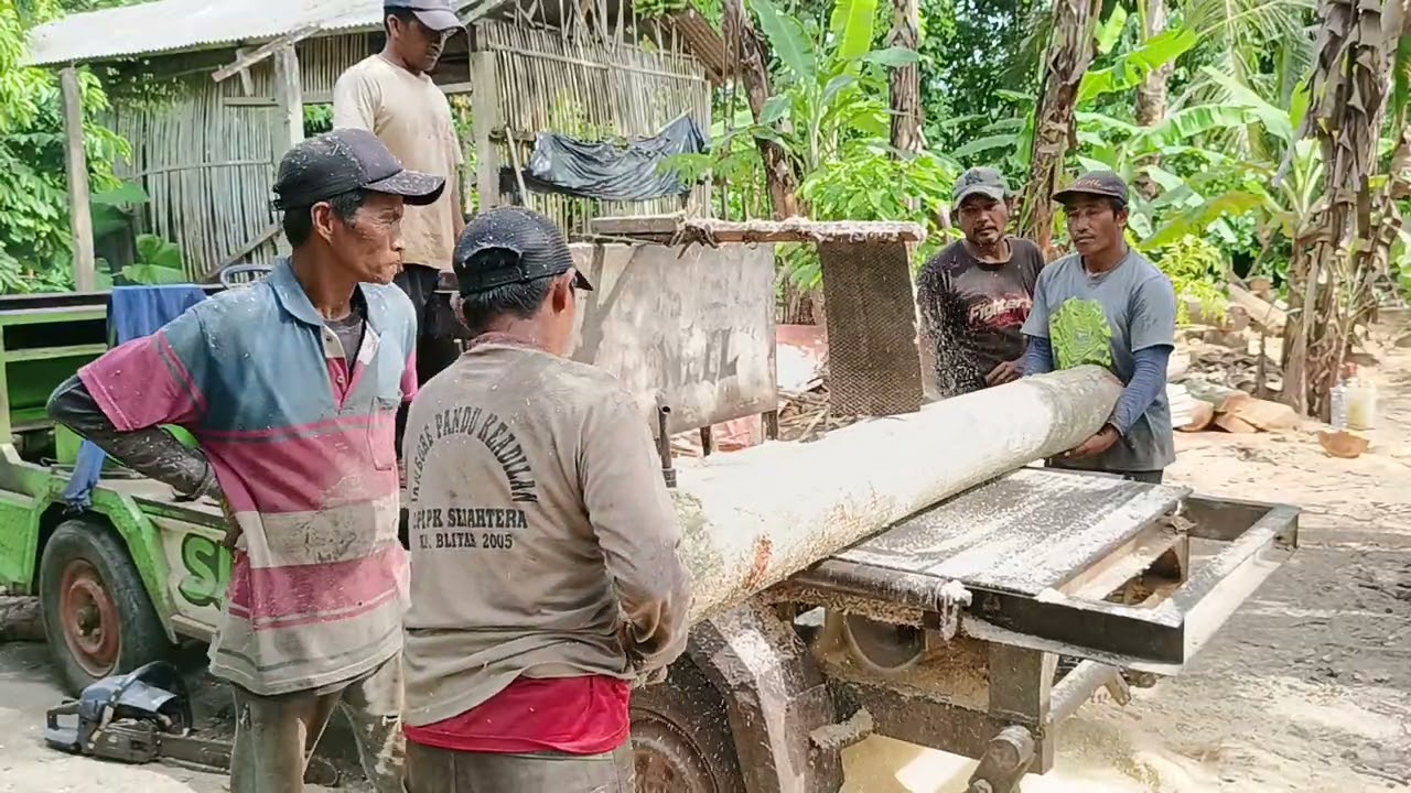 The Skill of Transforming Logs into Amazing Masterpieces with a Custom-Made Circular Saw 