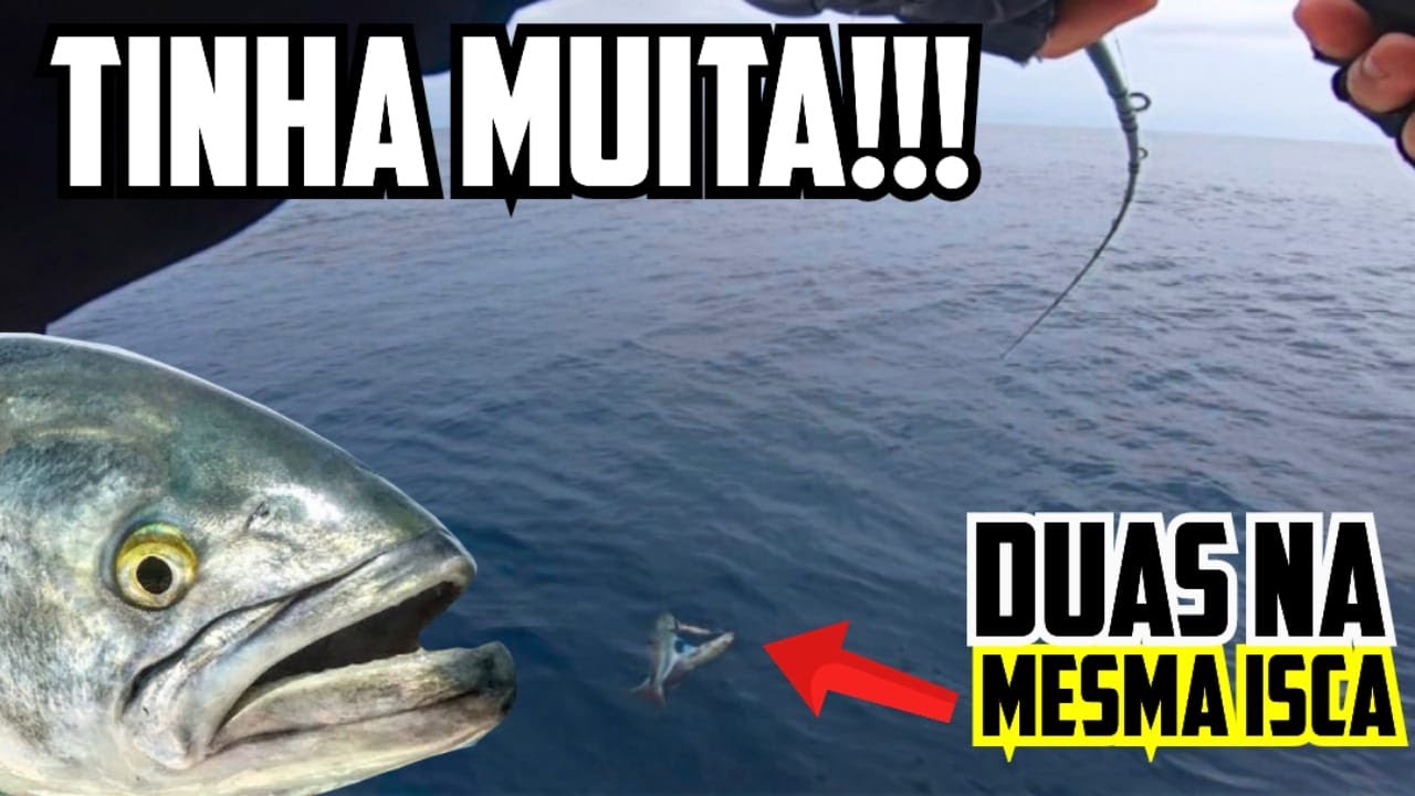 ELAS ESTAVAM POR TODO LADO ATACANDO O JIG  - SLOW JIG PESCA