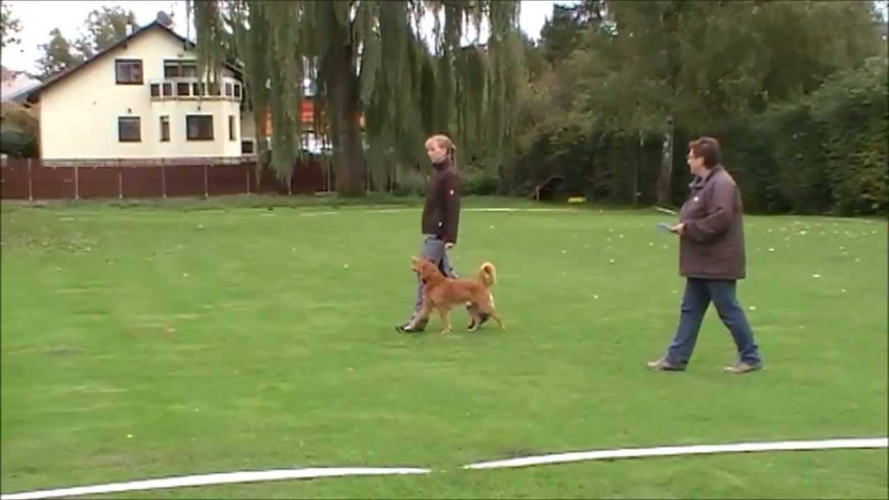 Hythavwii in Rohrhof Klasse 2 13.10.2013