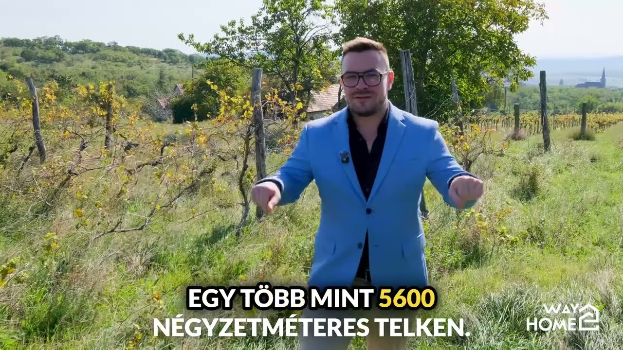 🌿 Panorámás birtok a Káli-medence szívében – Szentbékkálla