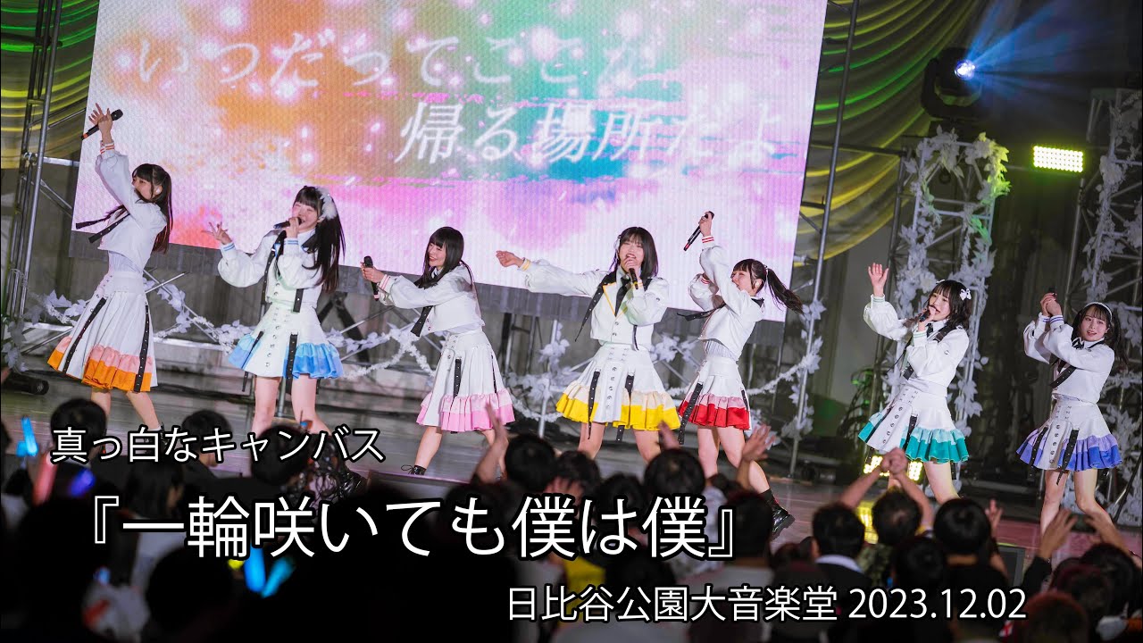 2023.12.02 真っ白なキャンバス 6周年ライブ『一輪咲いても僕は僕』