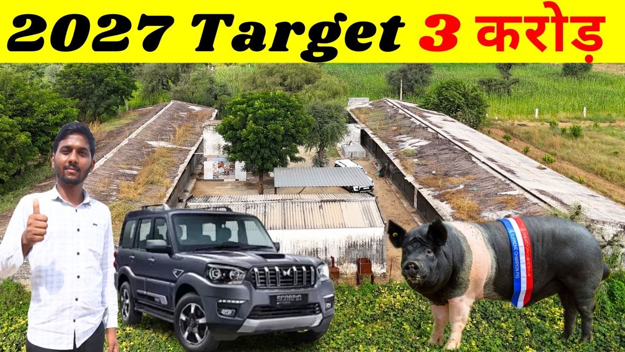 युवा के संघर्ष की 0 से हीरो बनाने की कहानी ll Pig Farming Business ll Pig Feed ll Pig Farm