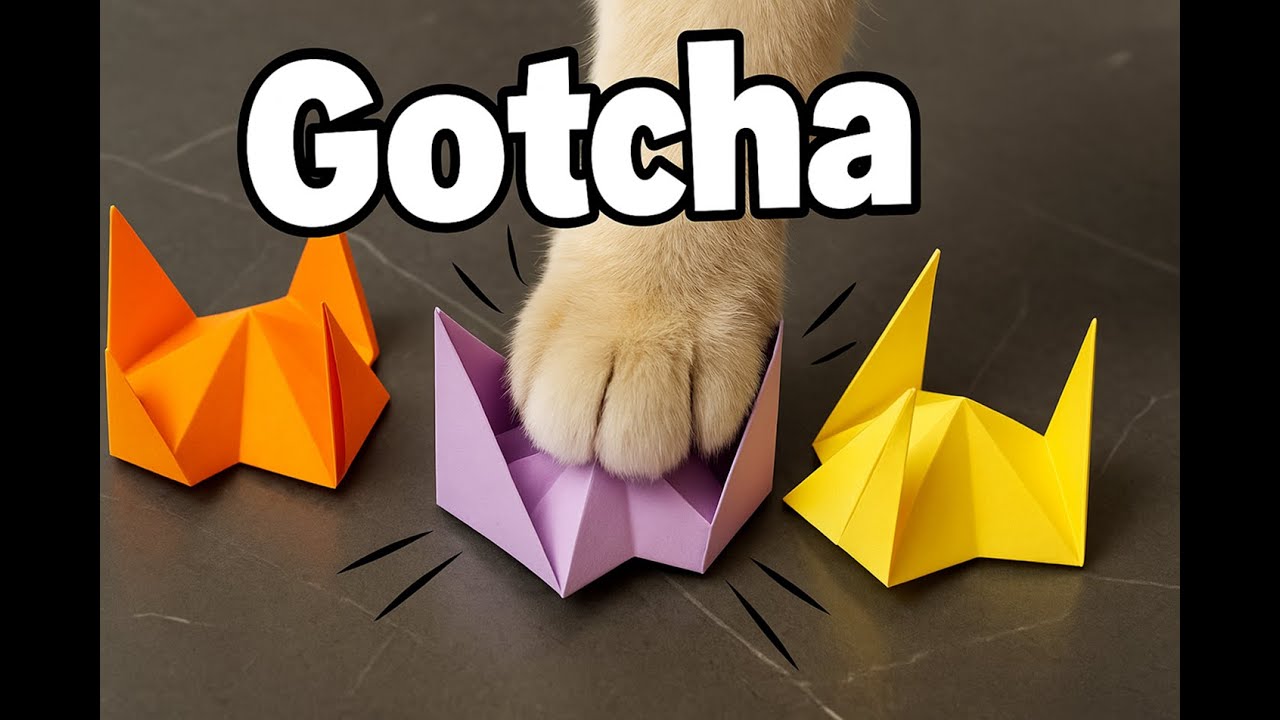 How to Make a Finger Trap for Cats