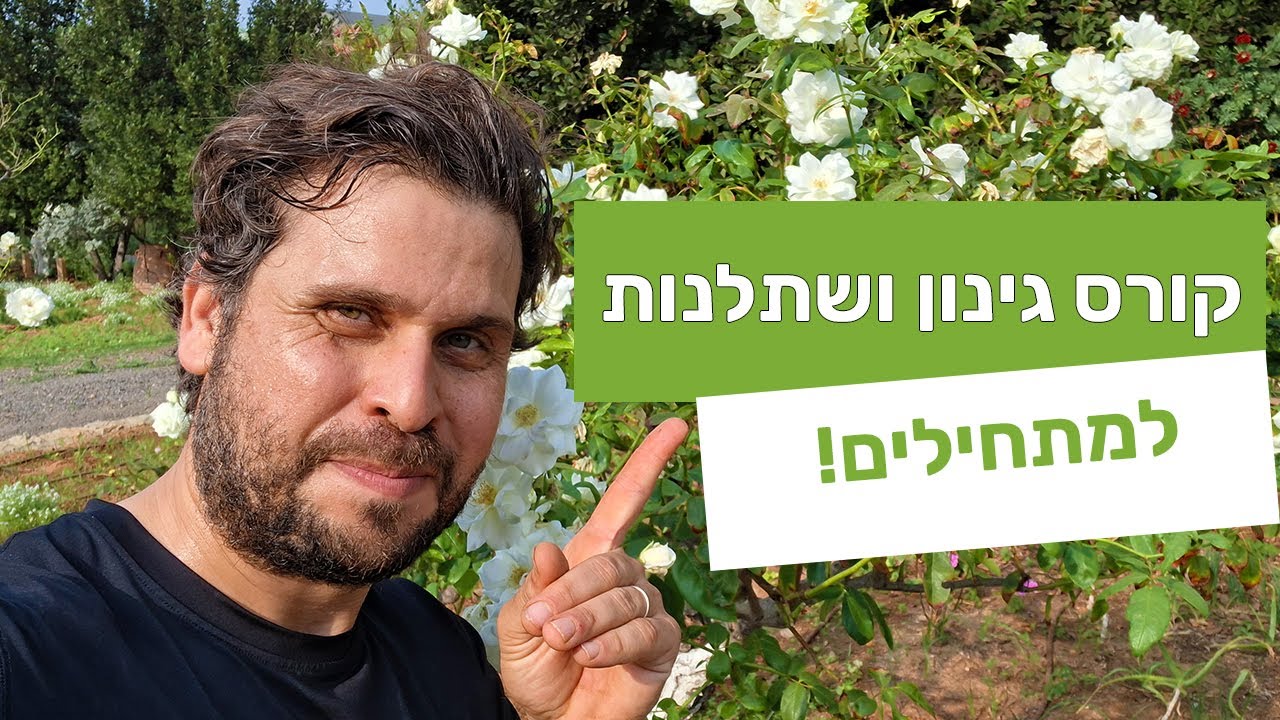 קורס גינון ושתלנות למתחילים!