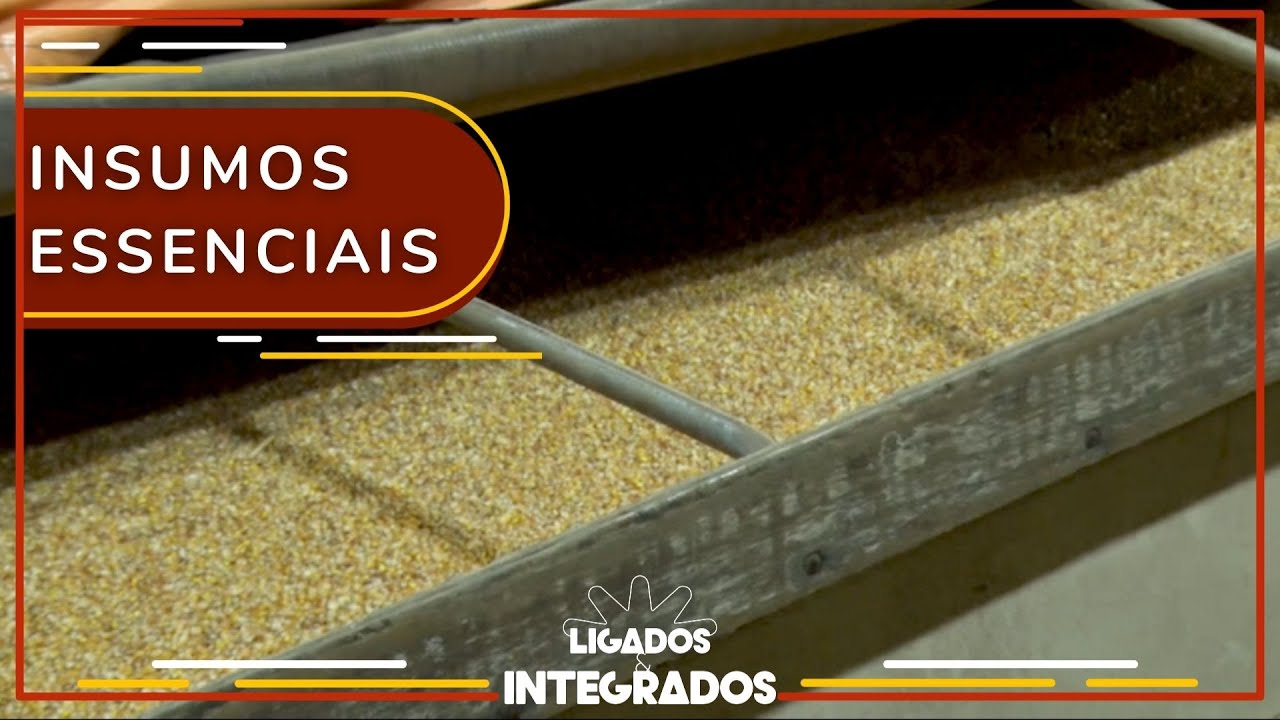 Como funciona uma fábrica de ração animal? | Ligados & Integrados – 17/08/2021