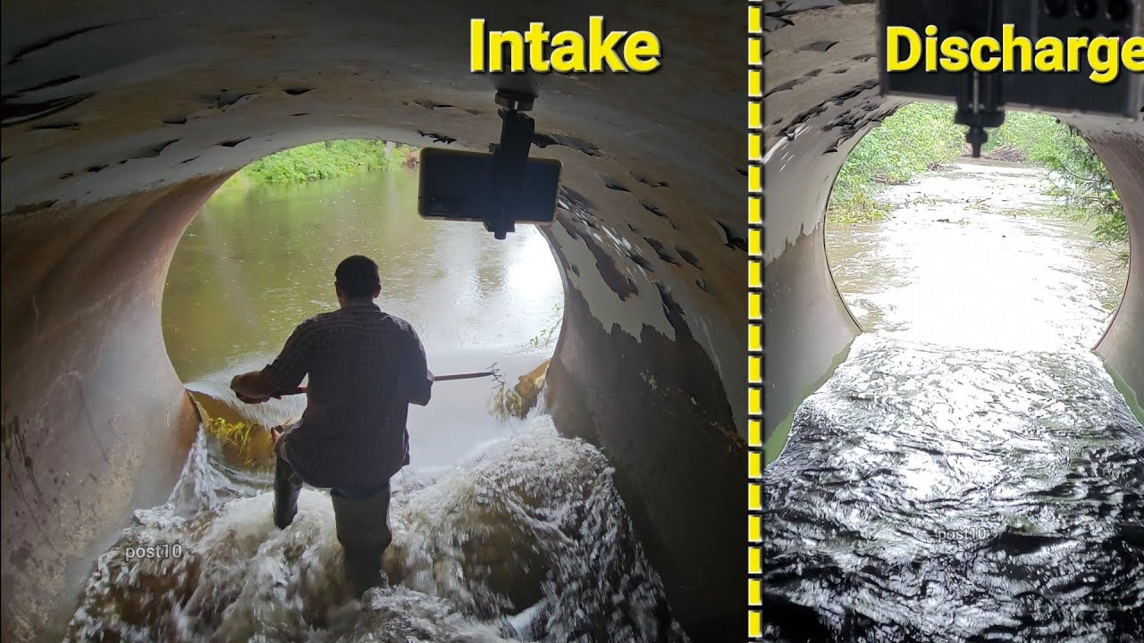 Бобры вернулись, прочистив огромный засор в водопропускных трубах