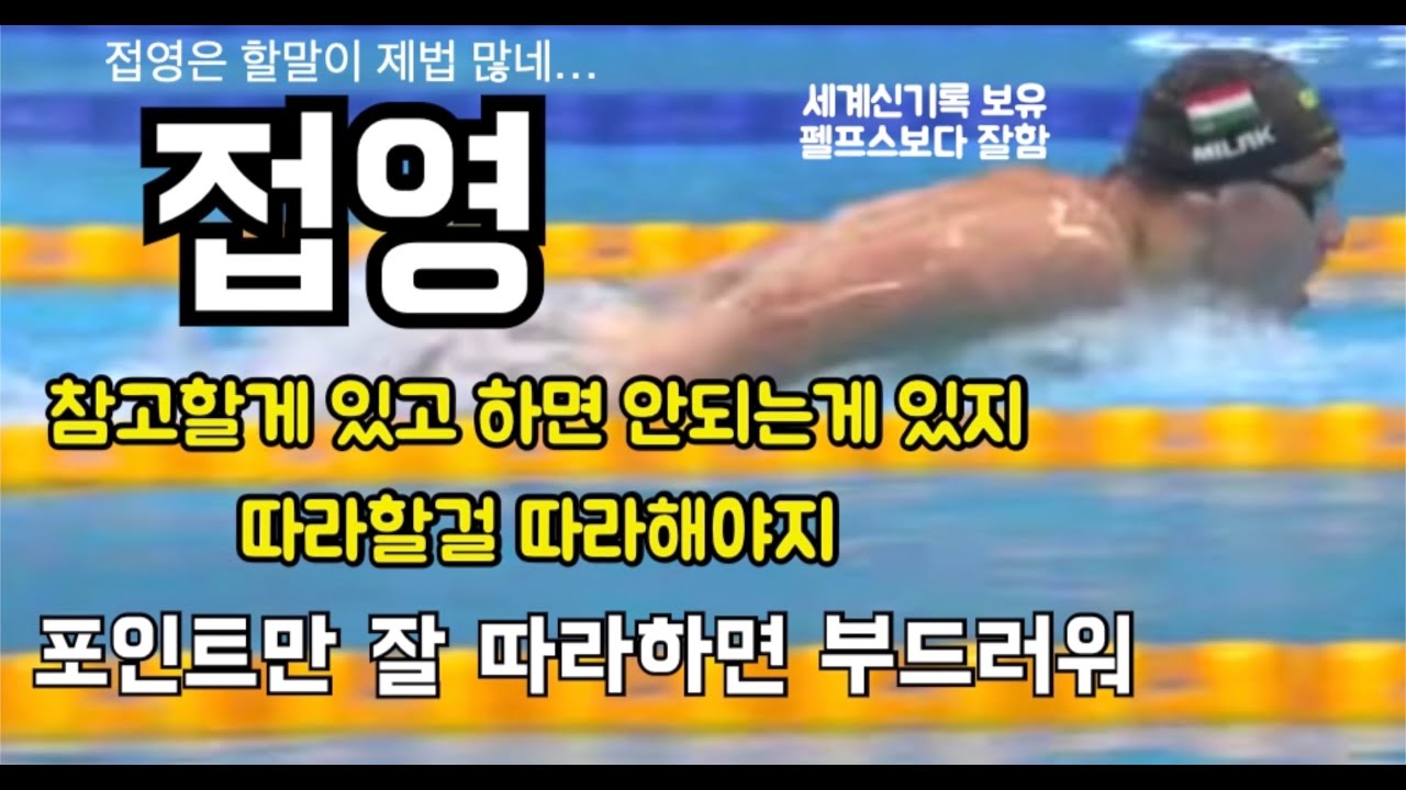 접영 선수영상보고 따라해볼 포인트