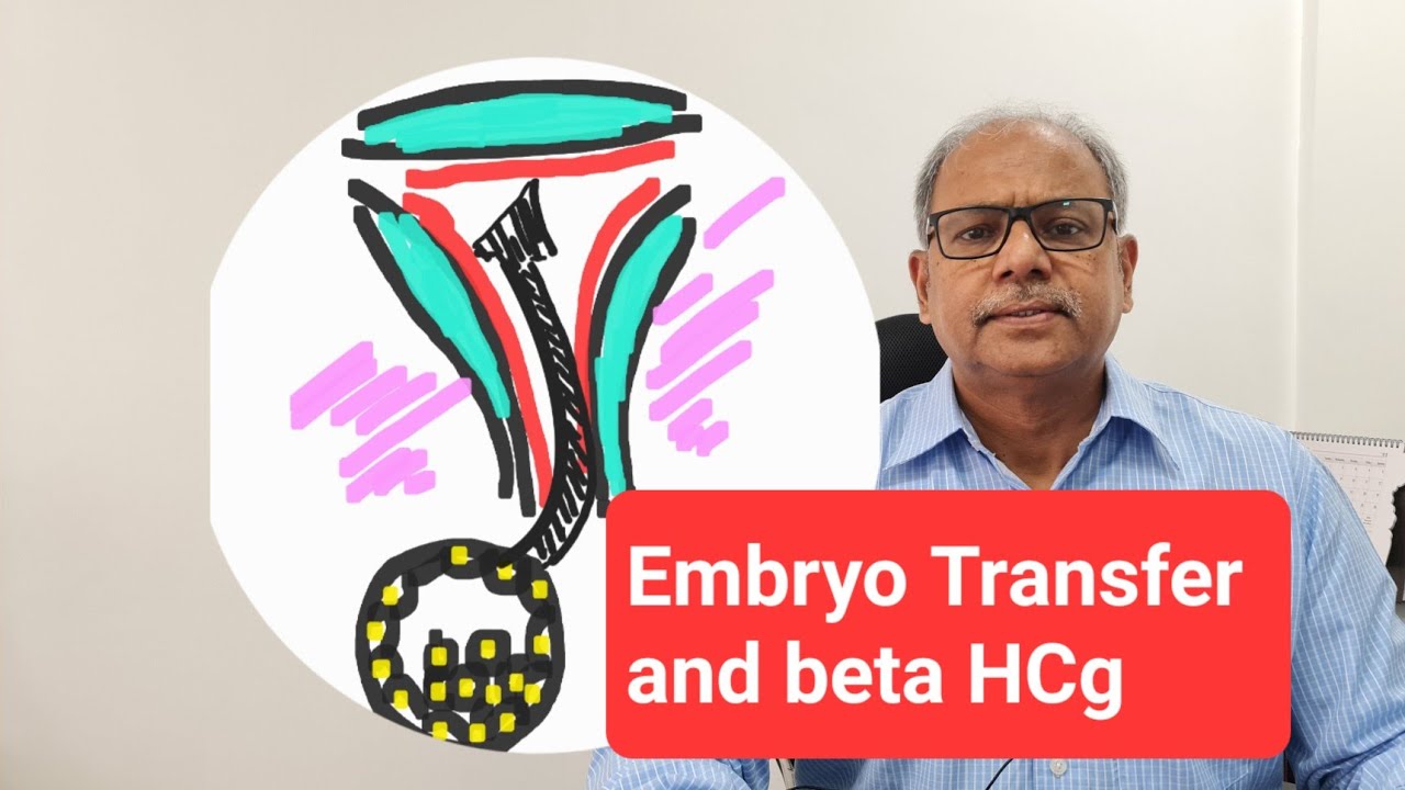 beta-HCG test, why it is done after 12/13 days after Embryo Transfer