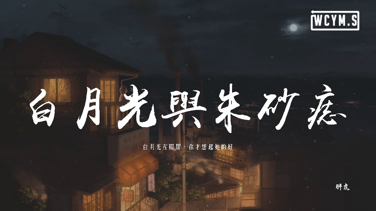 胖虎 - 白月光與朱砂痣「白月光在照耀，你才想起她的好」(可轉伴奏和人聲視頻)【【動態歌詞/pīn yīn gē cí】