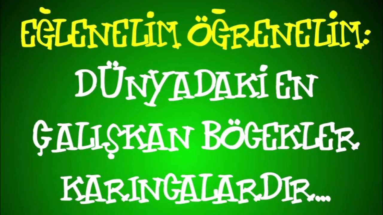 Erdil Yaşaroğlu - &Ccedil;alışkan Karıncalar (Karikani) 2000