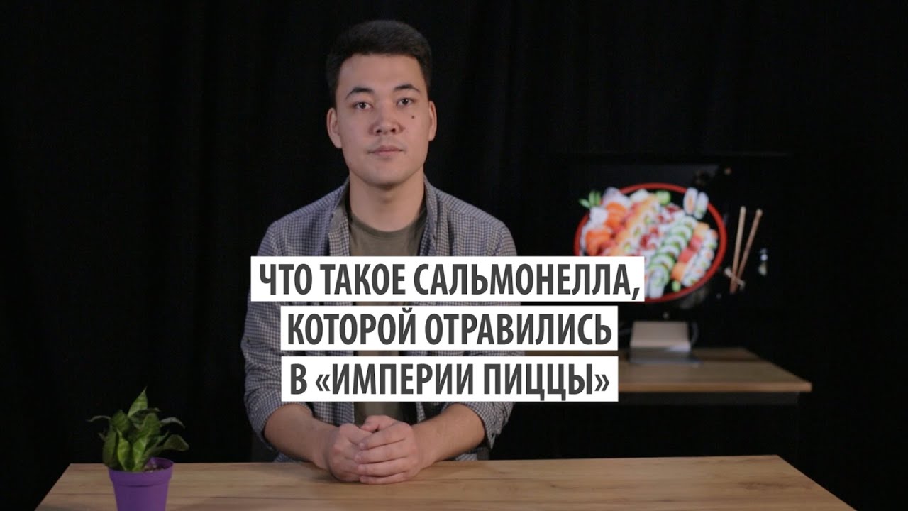 Отравление в «Империи пиццы»  Что такое сальмонелла?
