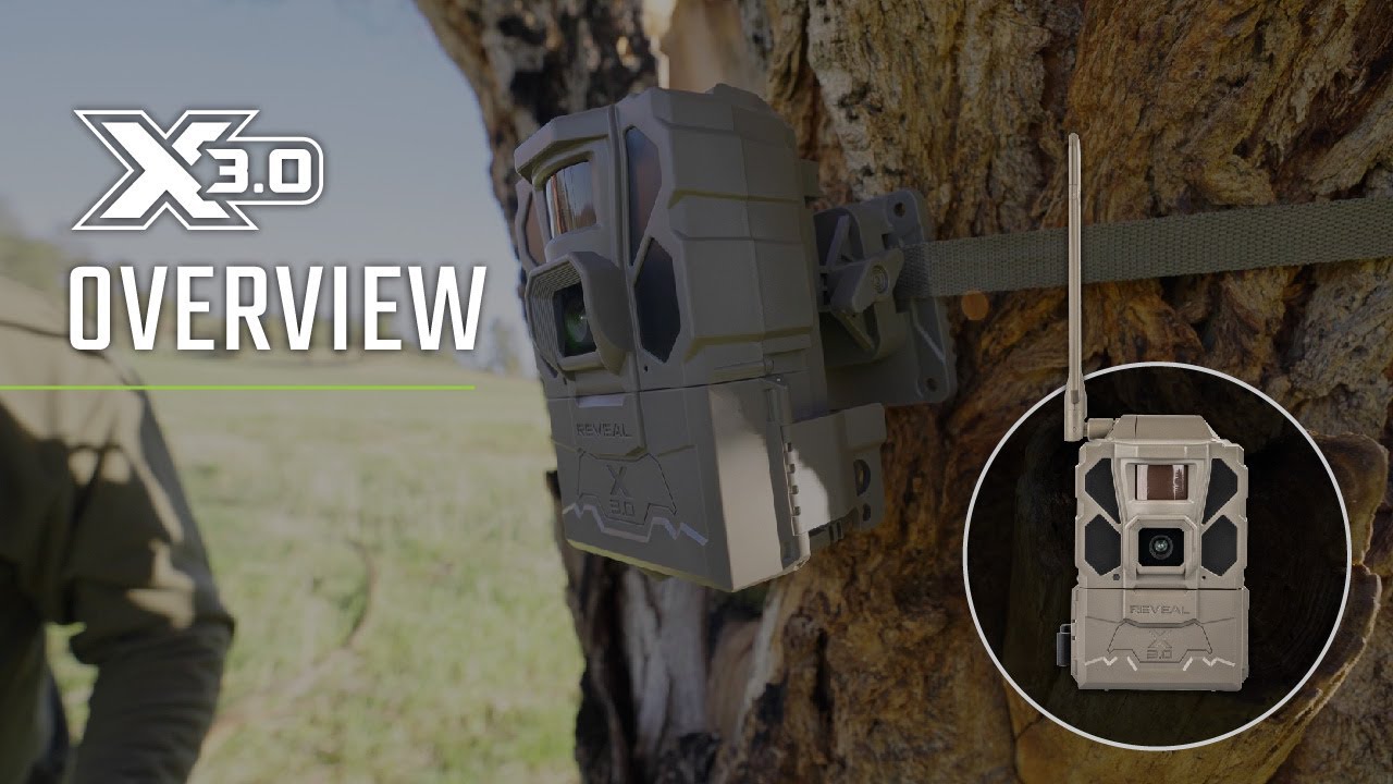Reveal X 3.0: Обзор
