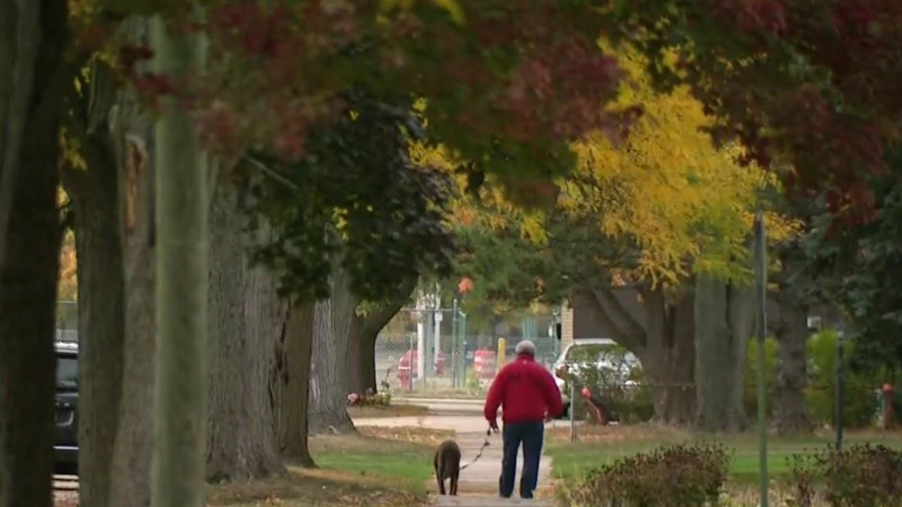 20-year-old man attacked, dragged while walking dog in Grosse Pointe Woods