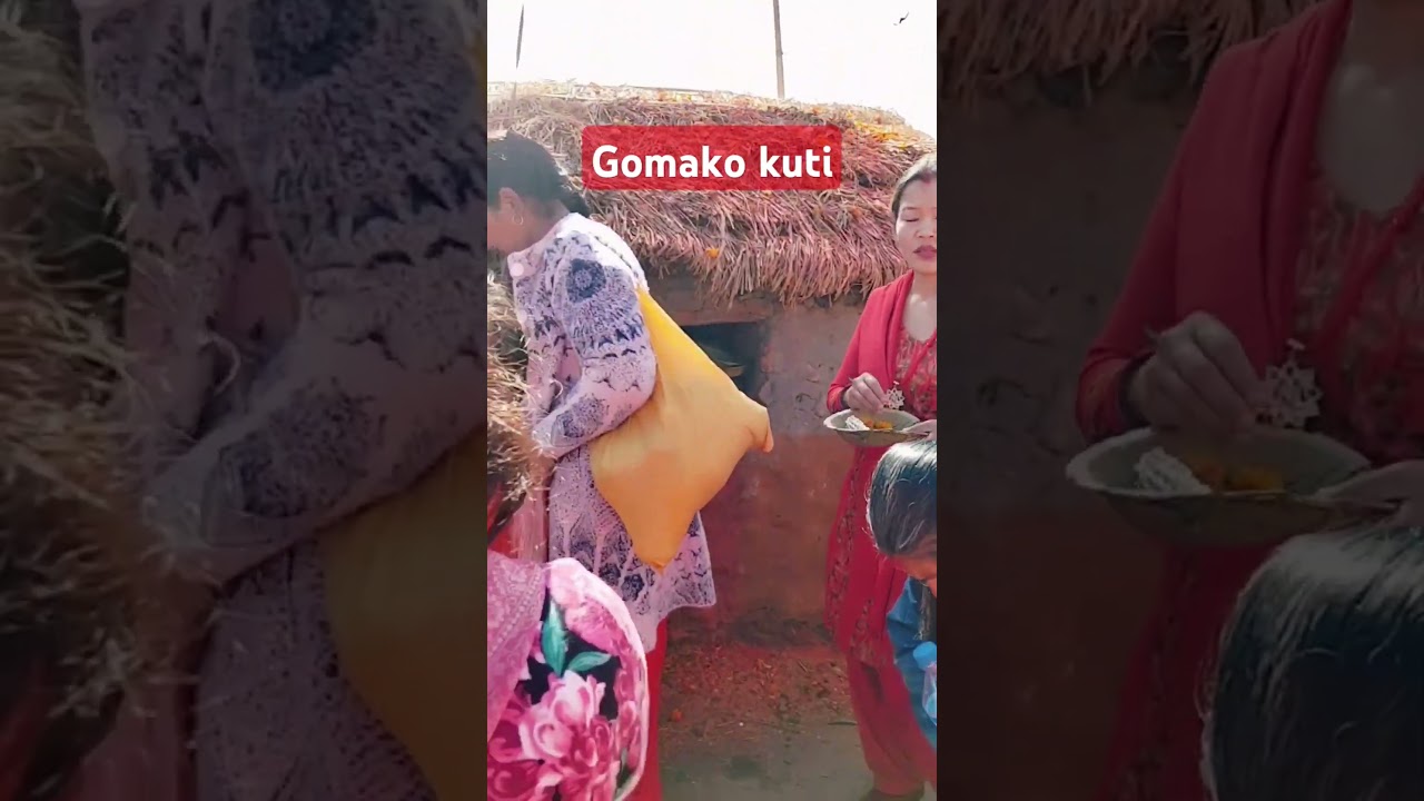 #salinadi #love #gomako kuti#viralvideo #vajan nepali