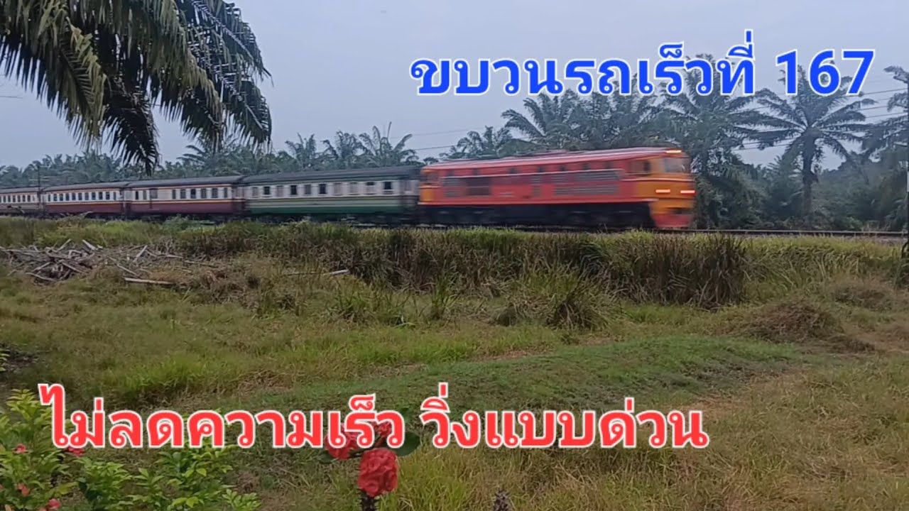 ขบวนรถเร็วที่ 167 ไม่ลดความเร็ว วิ่งแบบด่วน | Panthep_SRT