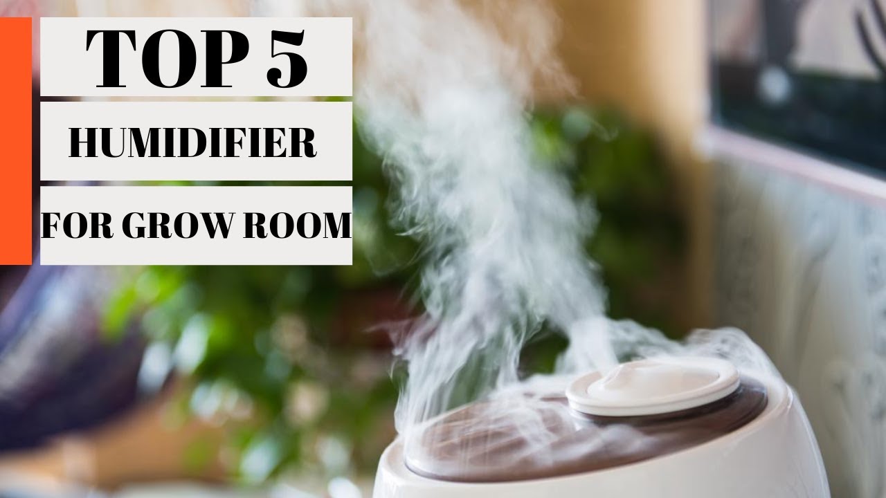 TOP 5: Best Humidifier for Grow Room 2023