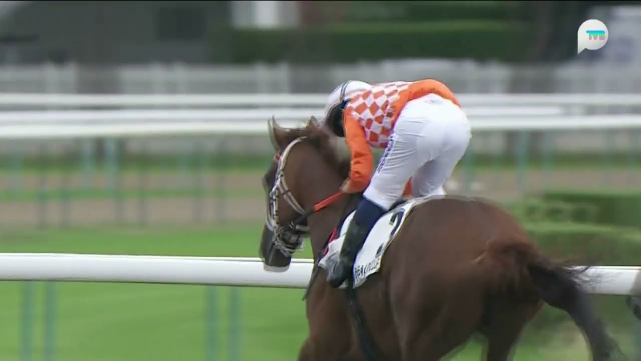 2025 Villa Persane Handicap - Chaldero (殲敵龍) - M.Barzalona