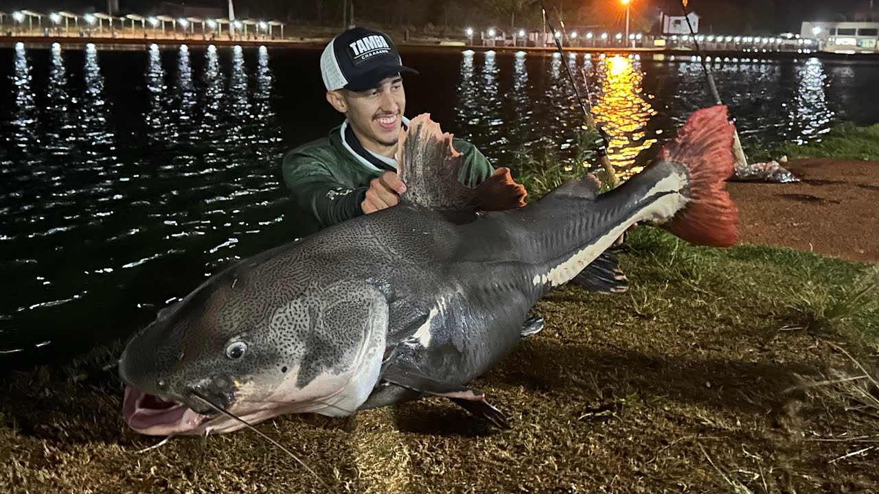 AS GIGANTES PIRARARAS DO CLUBE PESCAR!