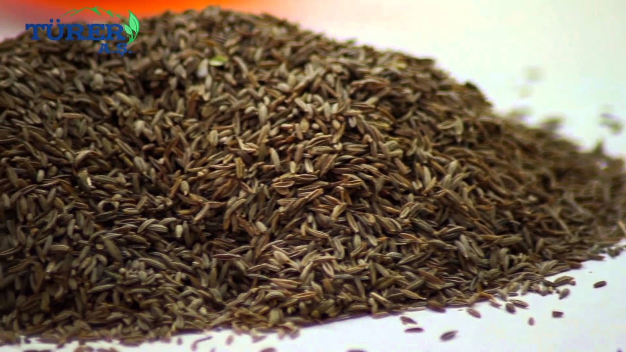 Türer A.Ş. Video