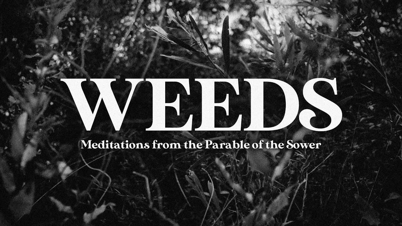 Weeds // Meditations From the Parable of the Sower // Bob Sorge