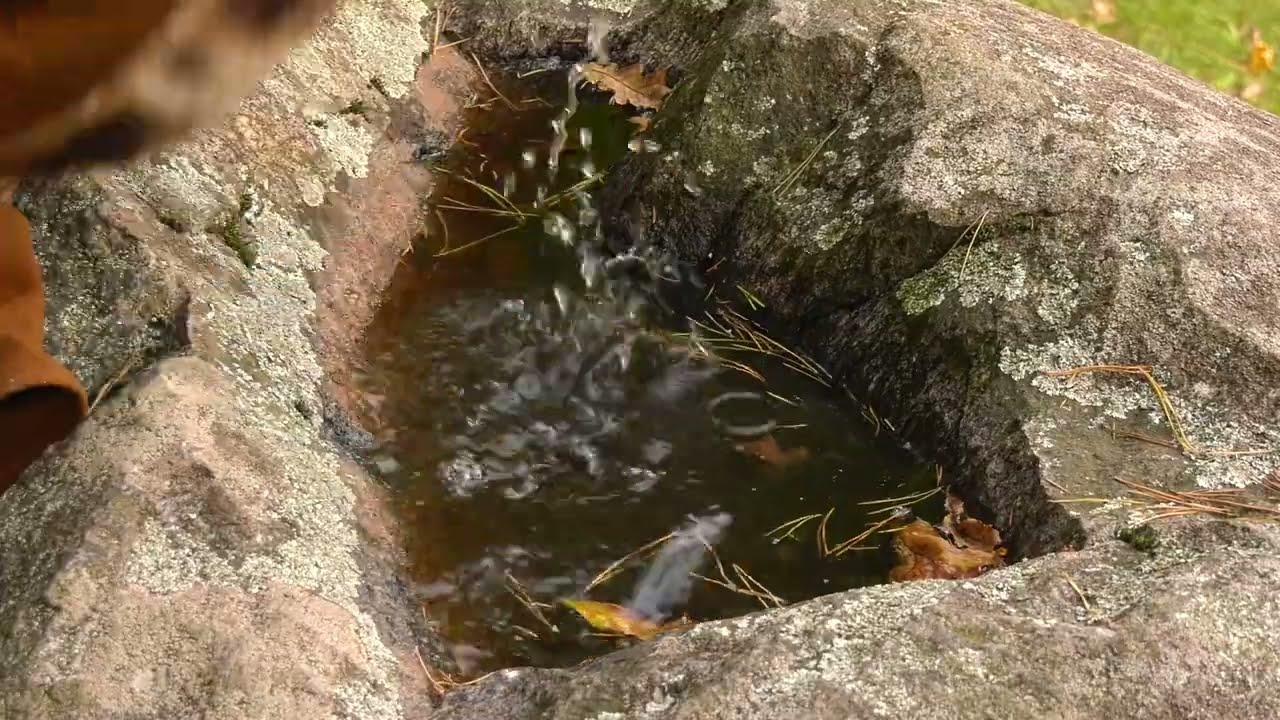 Aukštadvario regioninis parkas