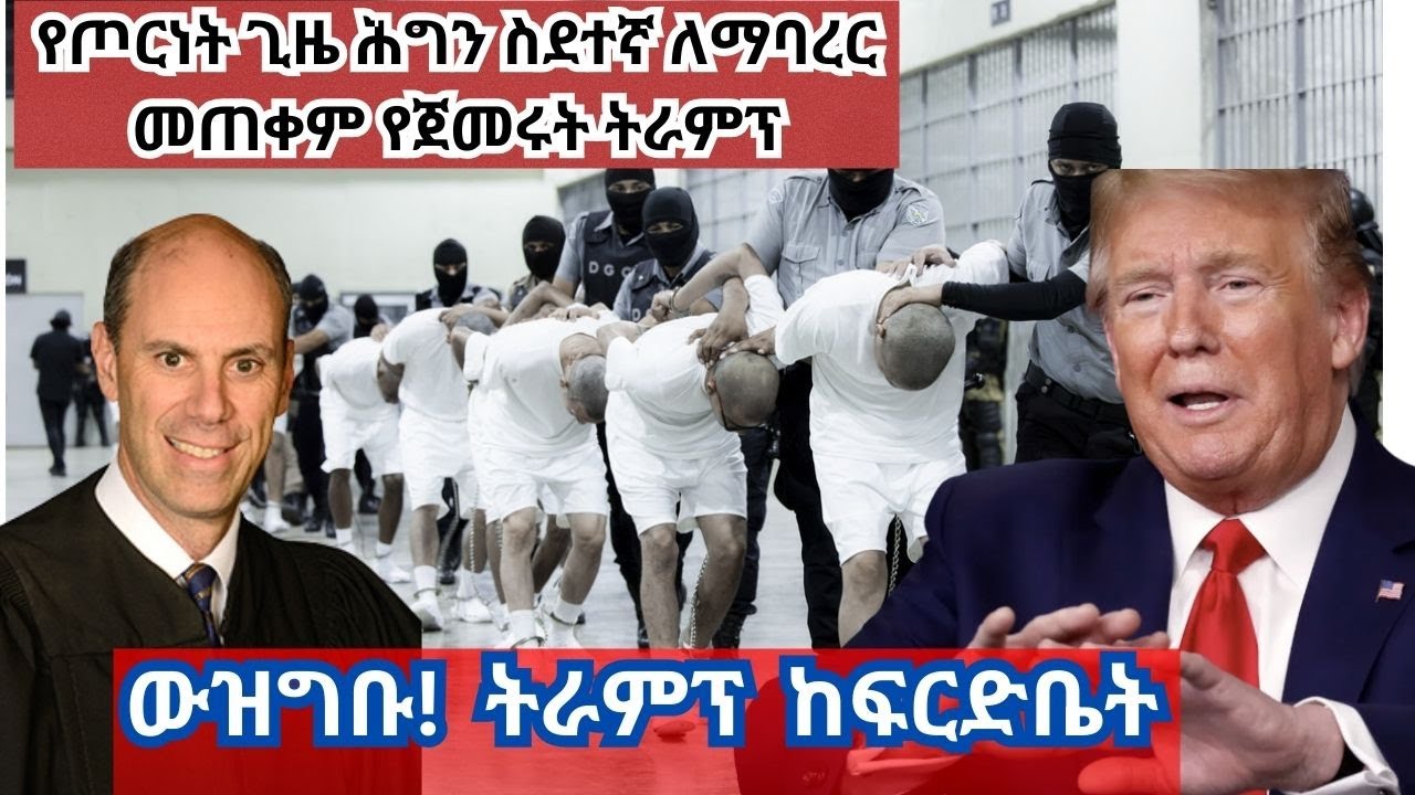 የጦርነት ሕግ ስደተኛን ለማባረር! በትራምፕና በፍርድቤት መካካል የተነሳው ጦርነት ☎️DMN +15126774634 #immigrants #trump