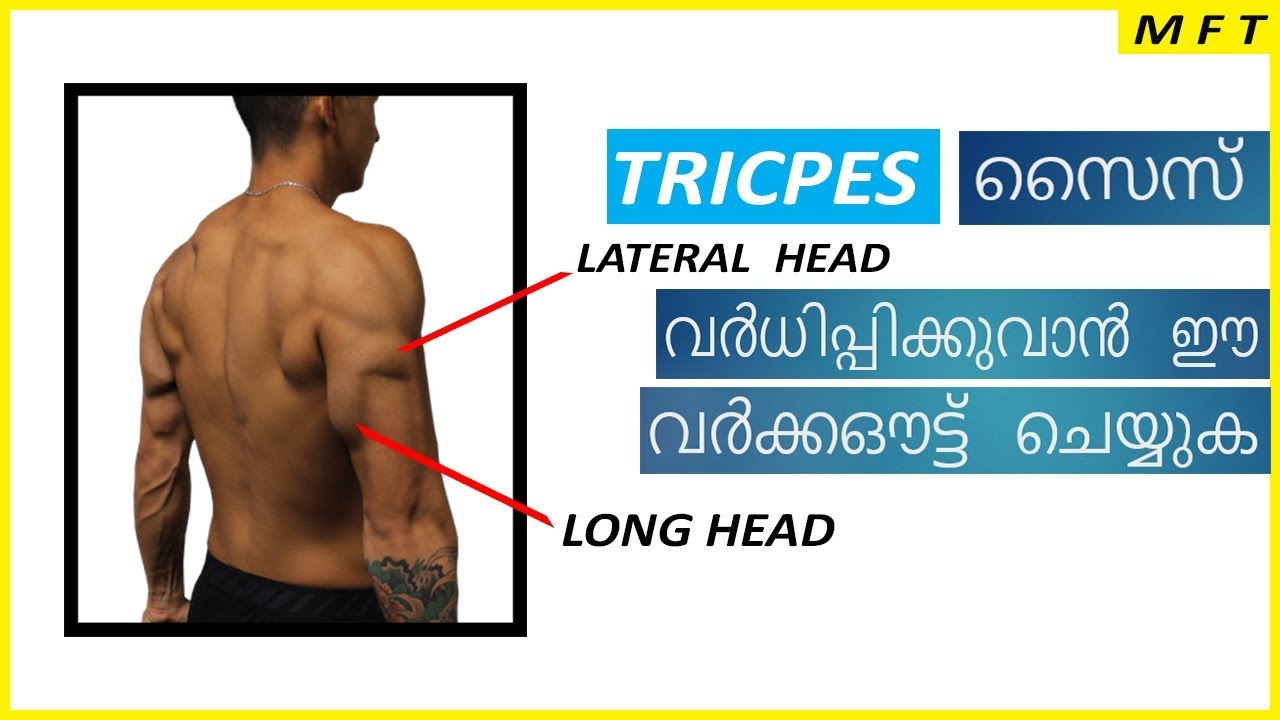 Complete Triceps workout in Malayalam | Men's Fashion Malayalam
